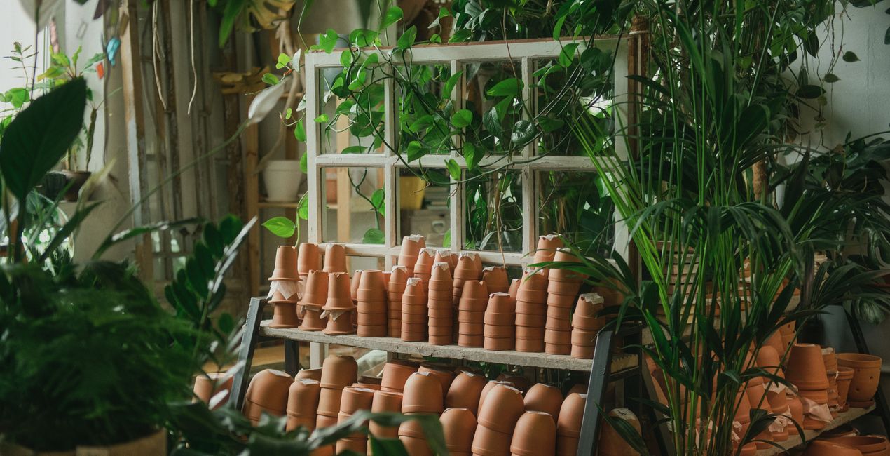 Tonequiet Presets for Luminar | Marketplace (48)