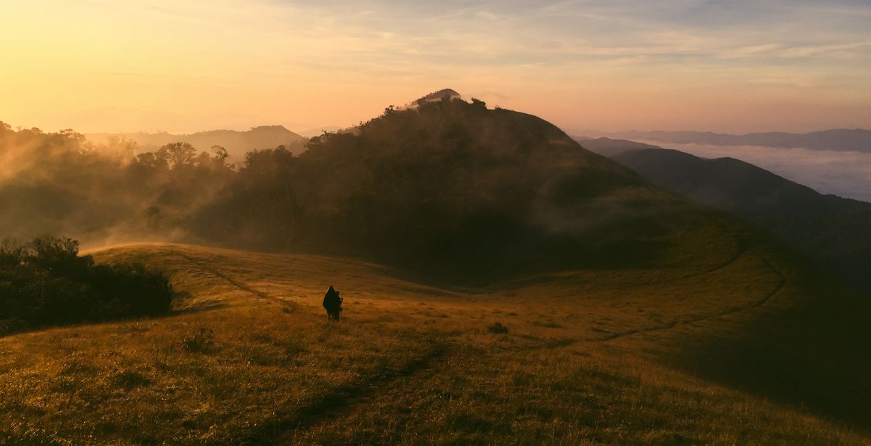 Luminar用 ハーベスト ライト プリセット | マーケットプレイス (40)