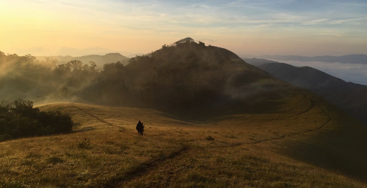Luminar用 ハーベスト ライト プリセット | マーケットプレイス (39)