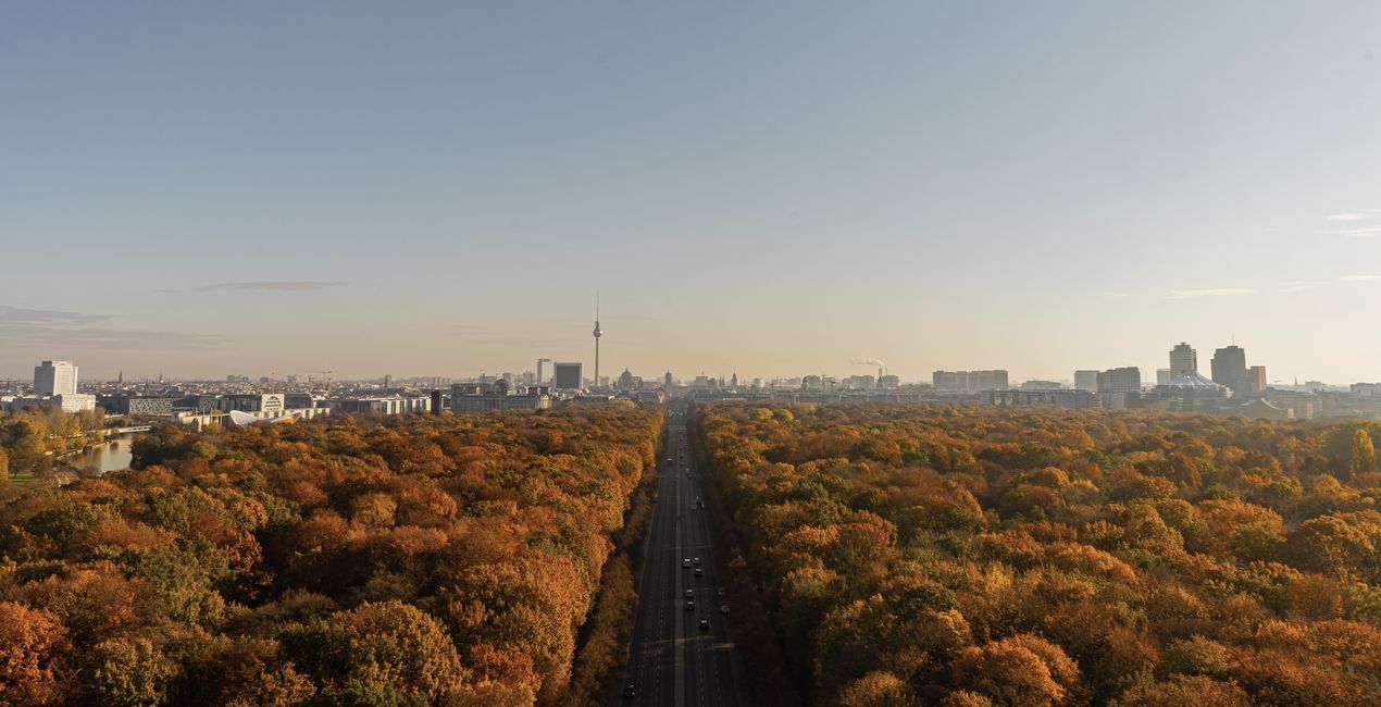 Luminar用 ハーベスト ライト プリセット | マーケットプレイス (45)