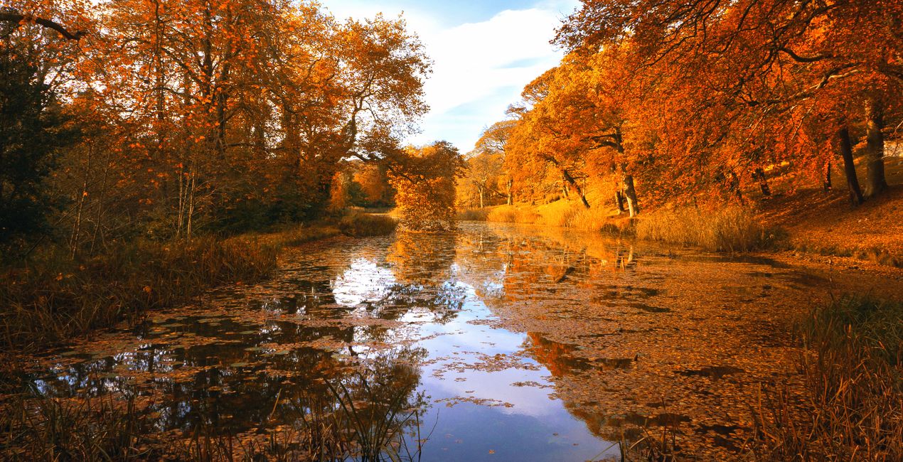 Luminar用 ハーベスト ライト プリセット | マーケットプレイス (42)