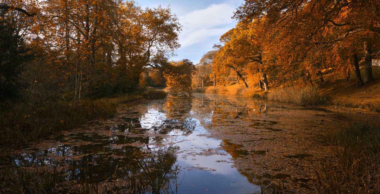 Luminar用 ハーベスト ライト プリセット | マーケットプレイス (41)