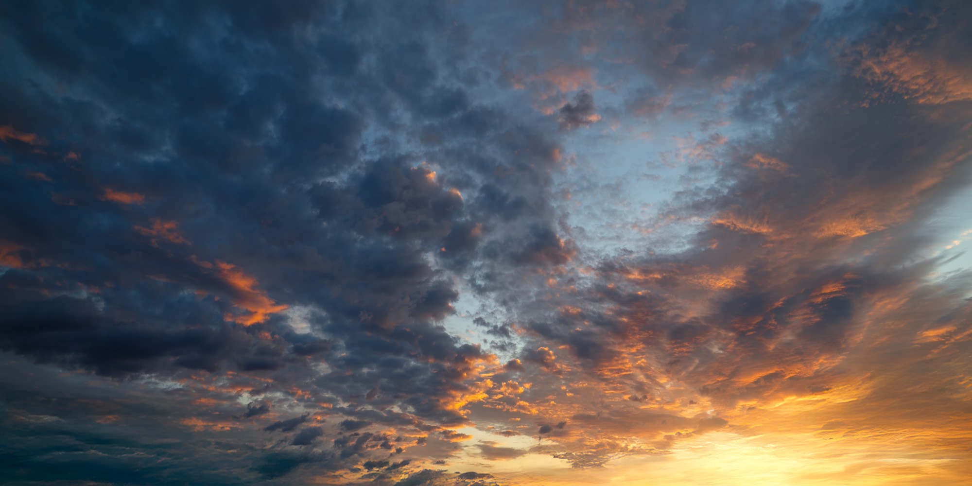 Maple Dusk Skies (52)