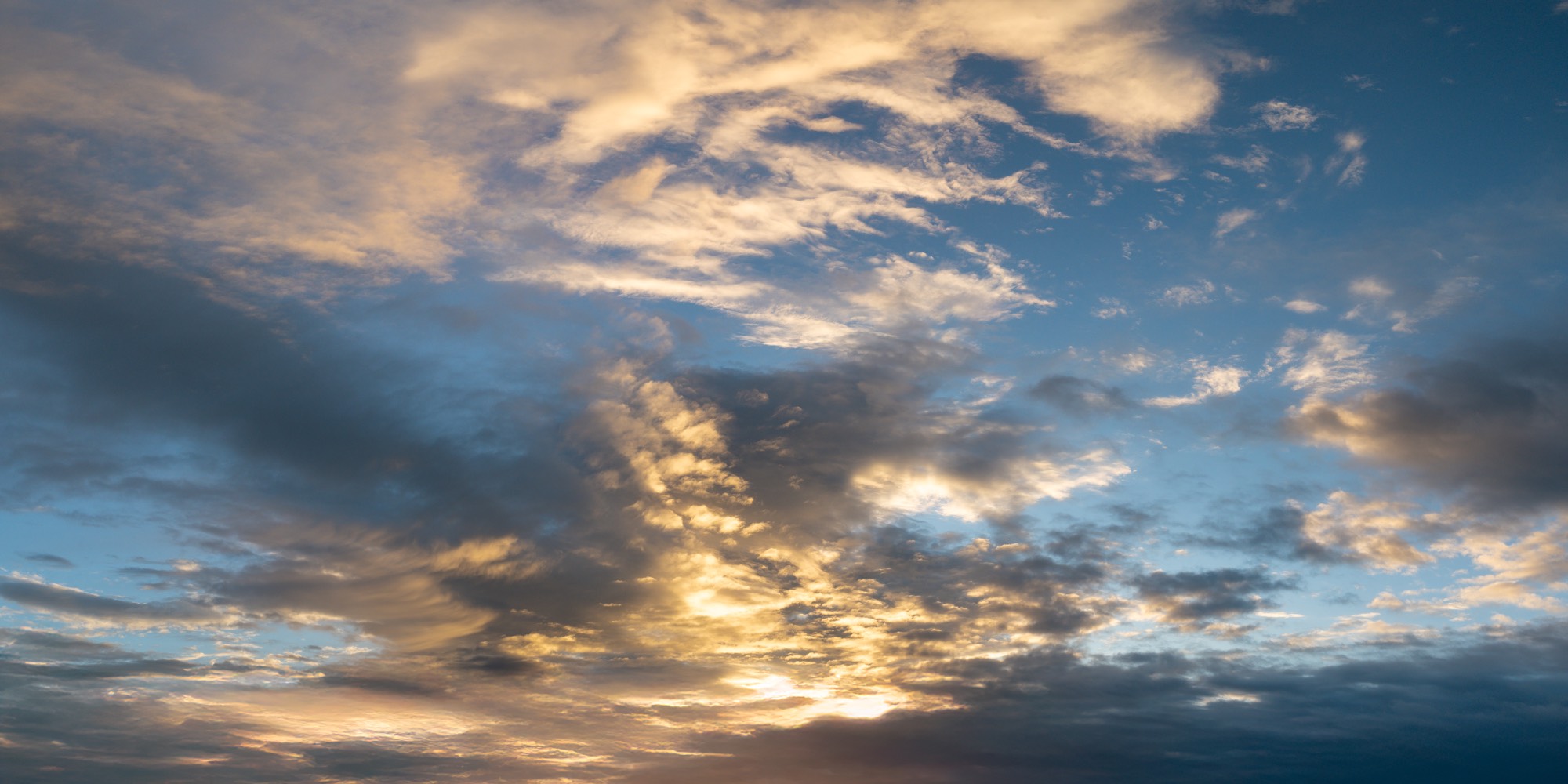 Maple Dusk Skies (55)