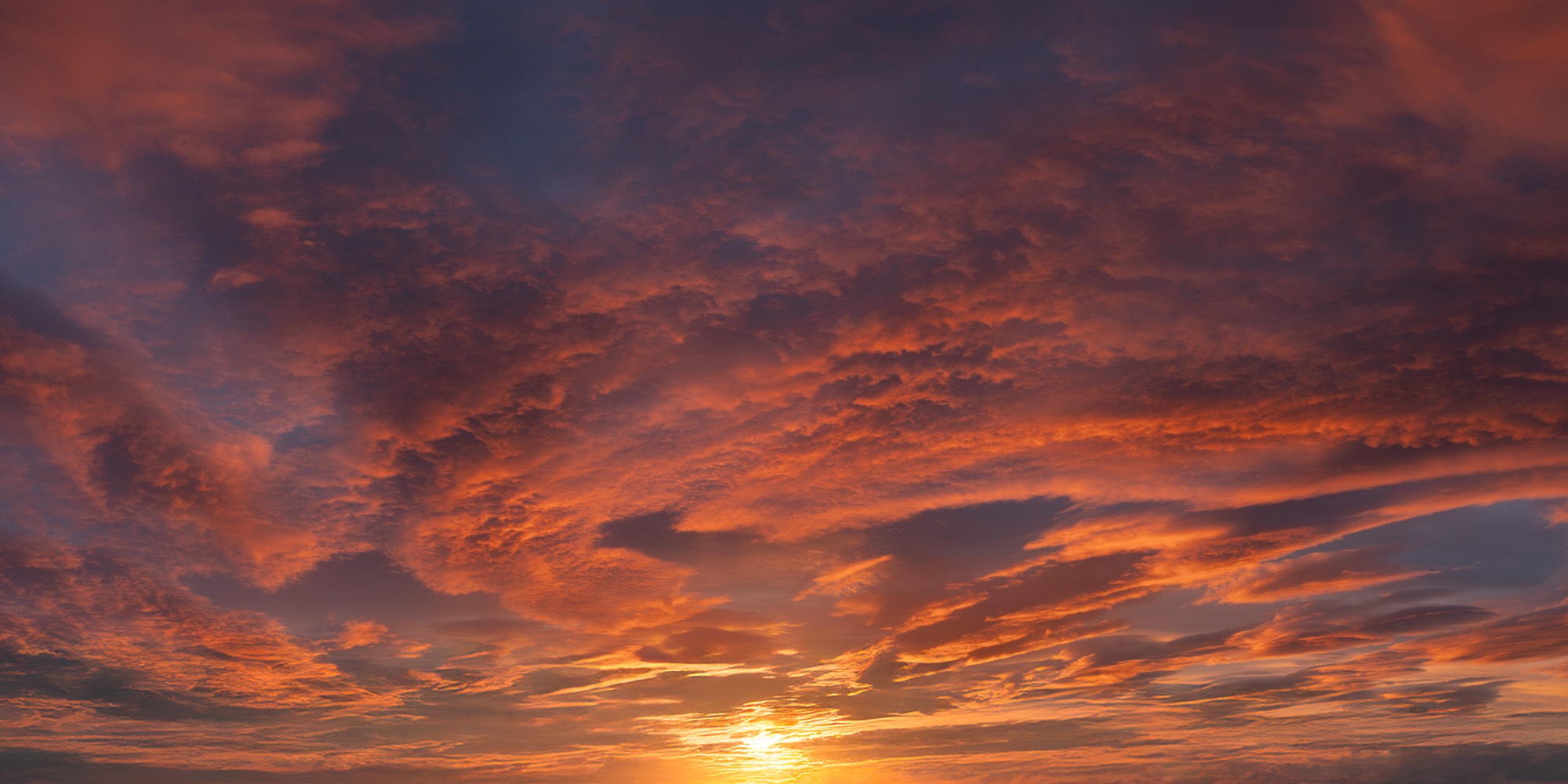 Maple Dusk Skies (56)