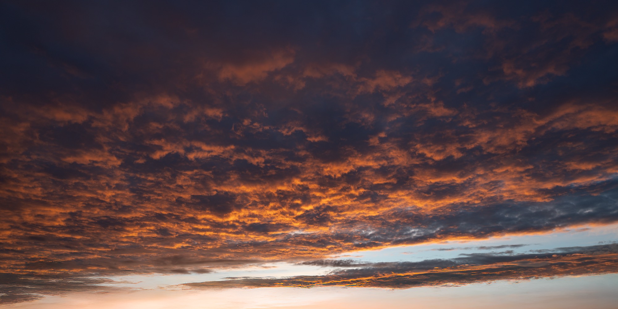 Maple Dusk Skies (57)