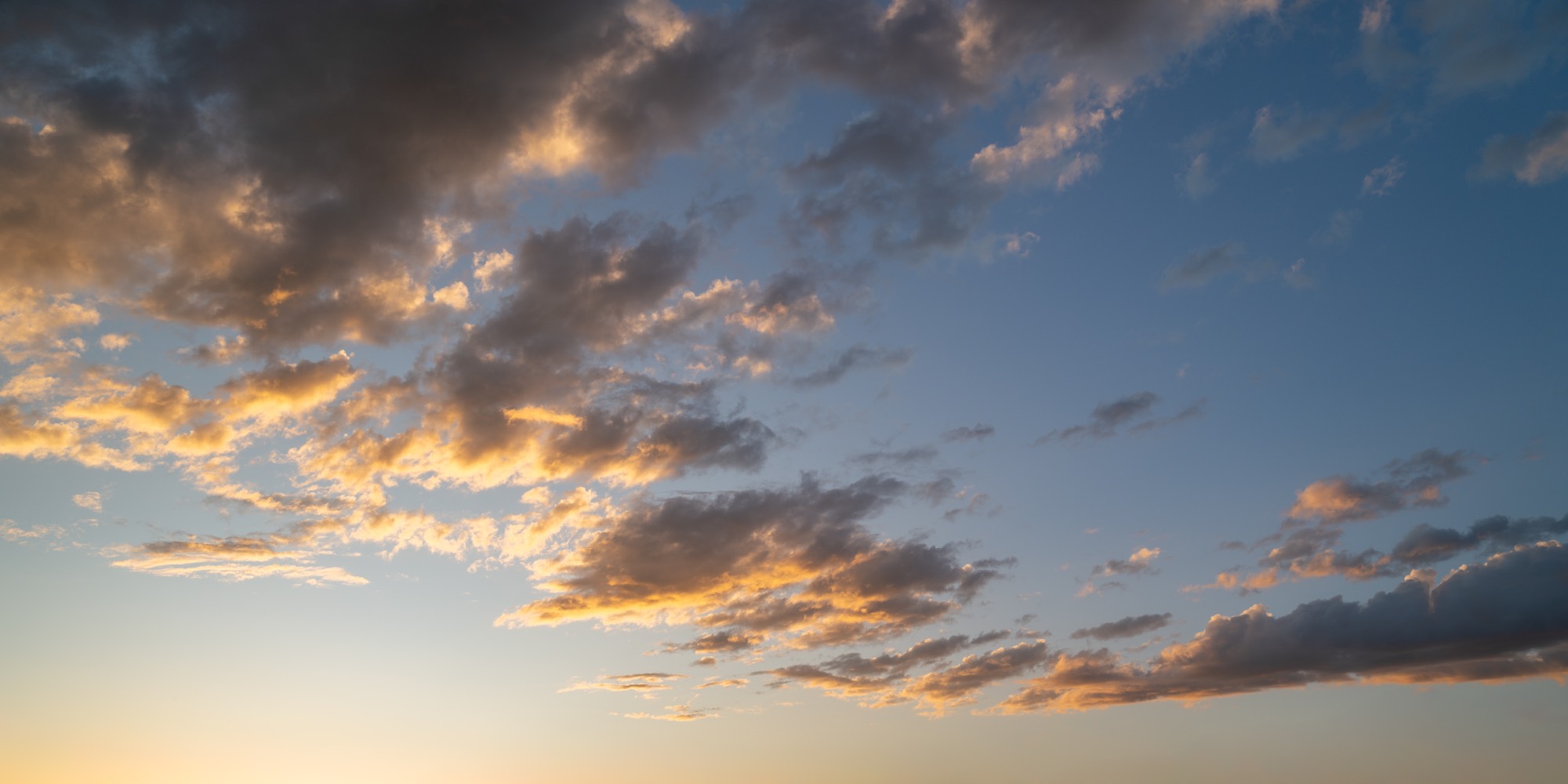 Maple Dusk Skies (59)