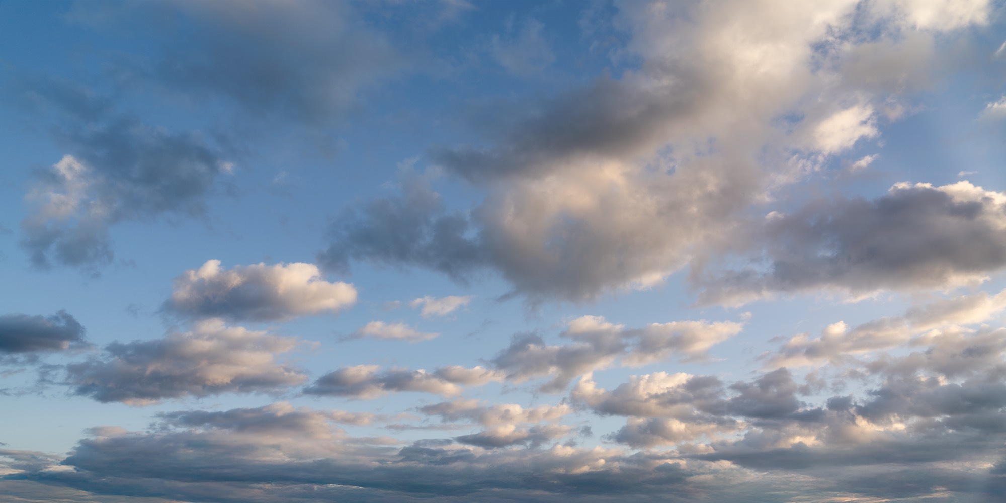 Maple Dusk Skies (60)