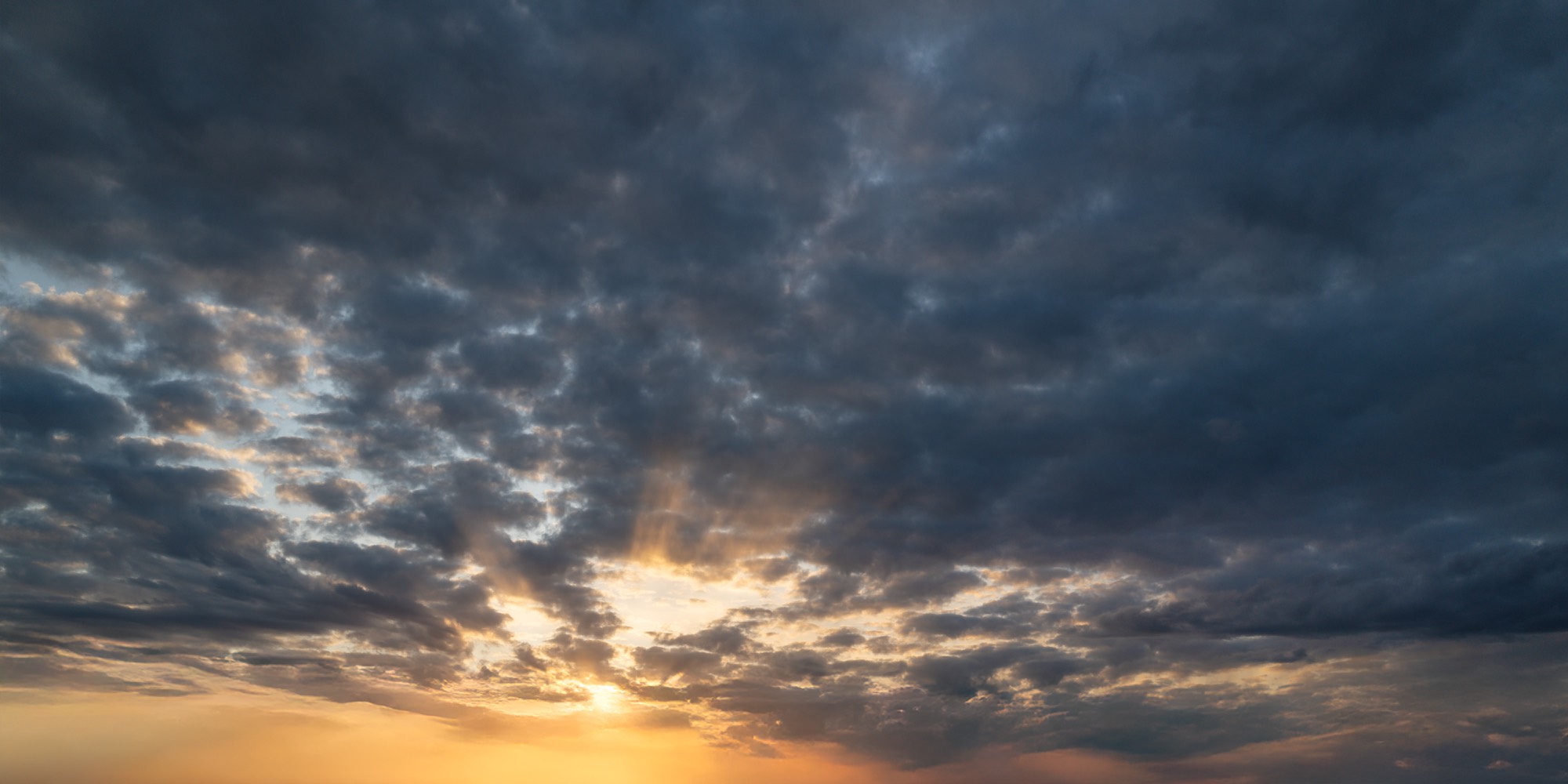 Maple Dusk Skies (61)