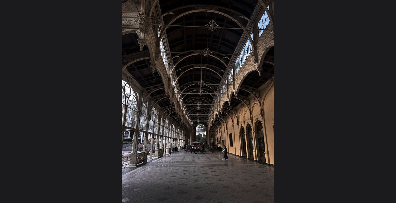 Bundle: Es werde Licht für Luminar | Marktplatz(49)