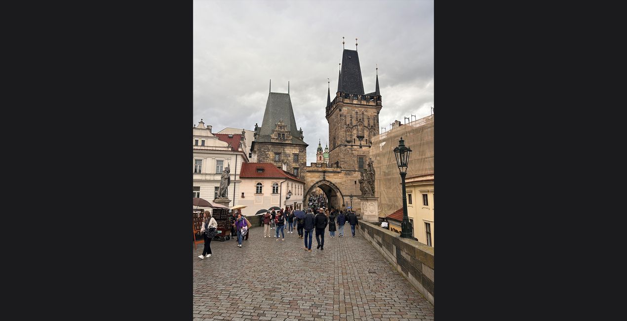 Bundle: Es werde Licht für Luminar | Marktplatz(45)