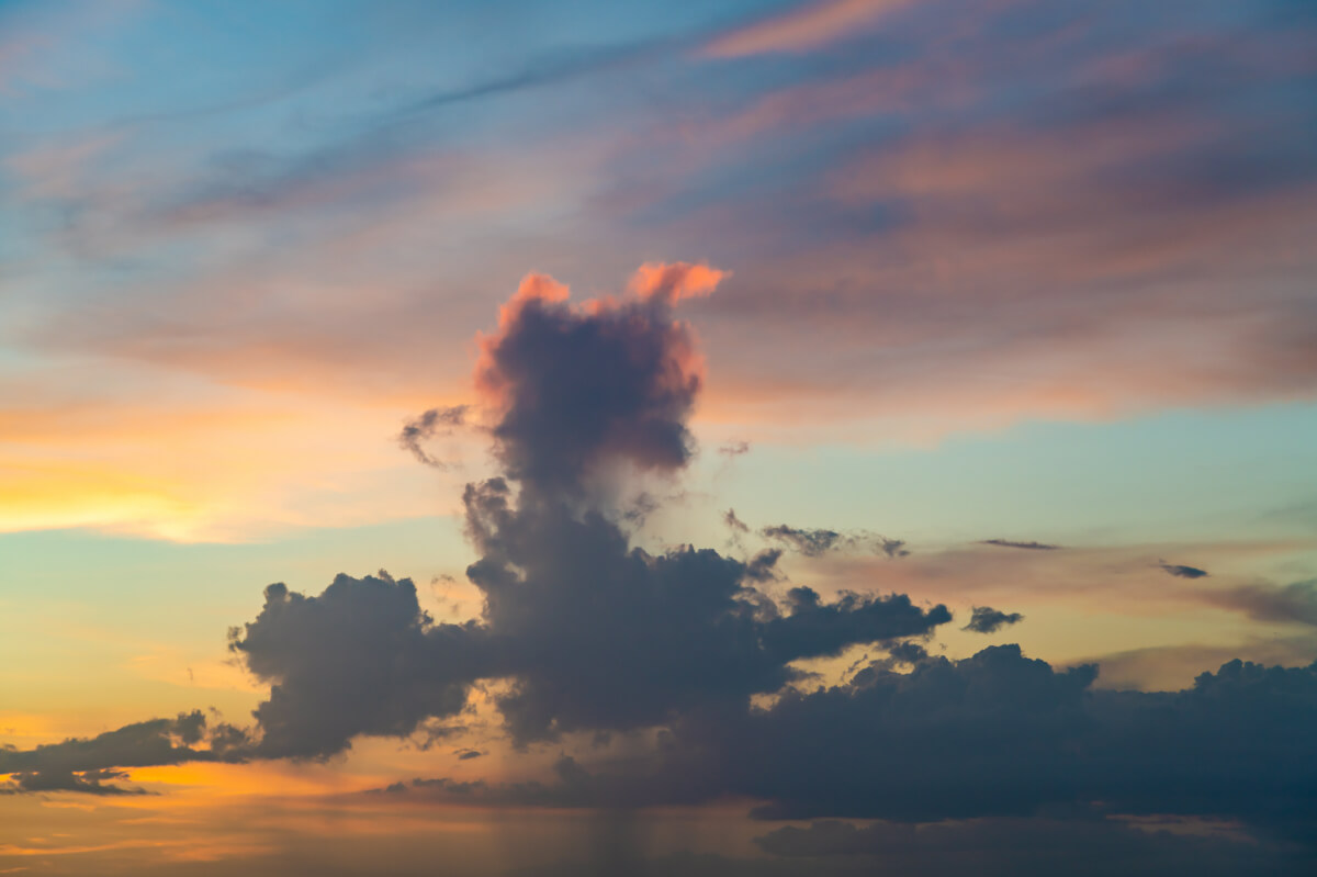 Uplifting Sunlight | Luminar Marketplace(54)