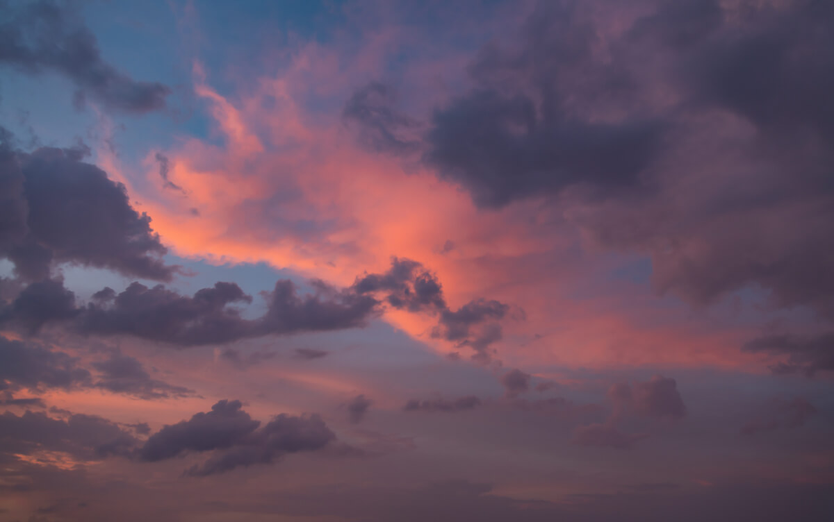 Uplifting Sunlight | Luminar Marketplace(55)