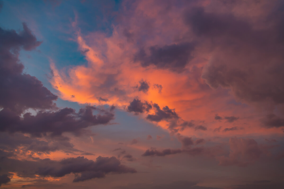 Uplifting Sunlight | Luminar Marketplace(57)