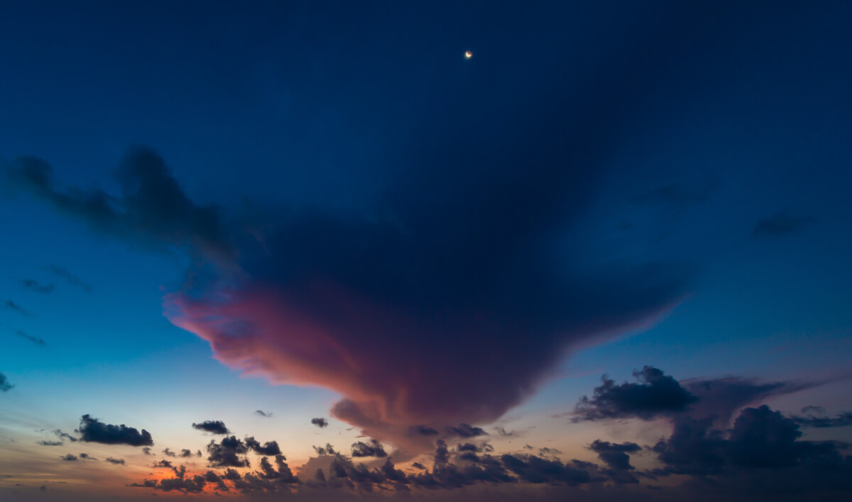 Uplifting Sunlight | Luminar Marketplace(59)