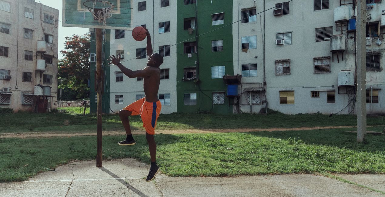 Luminar 고든 파크스 트리뷰트 | 마켓플레이스(42)