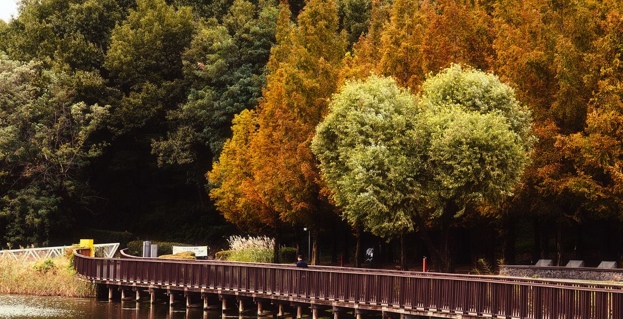 Autumn's Cusp Presets for Luminar | Marketplace (42)