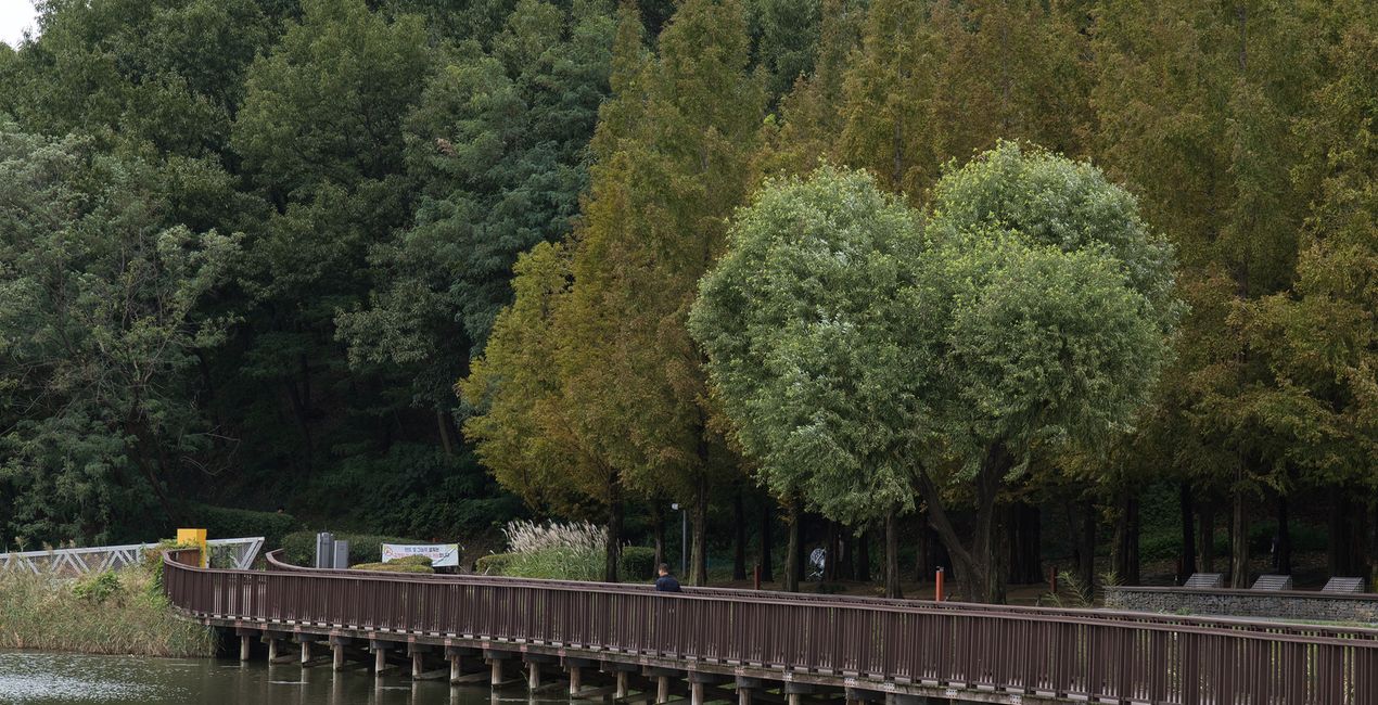 Autumn's Cusp Presets for Luminar | Marketplace (41)