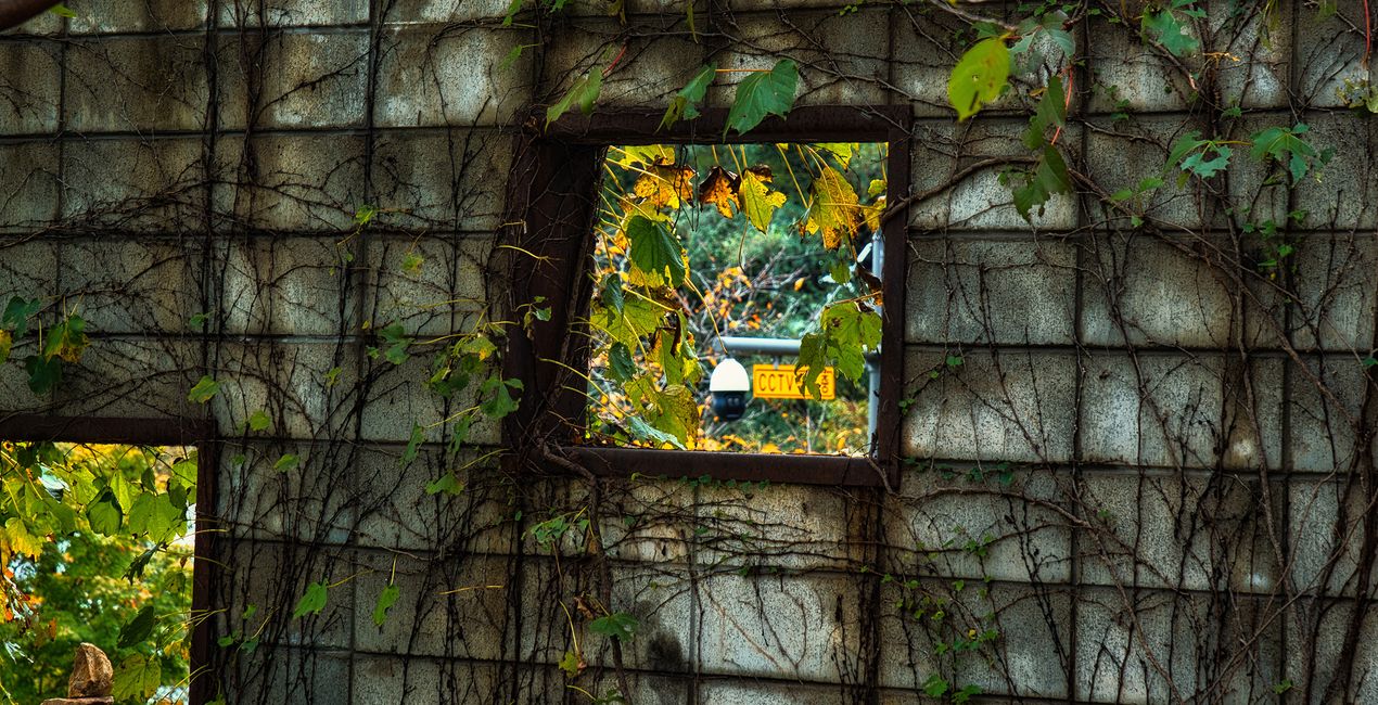 Autumn's Cusp Presets for Luminar | Marketplace (50)