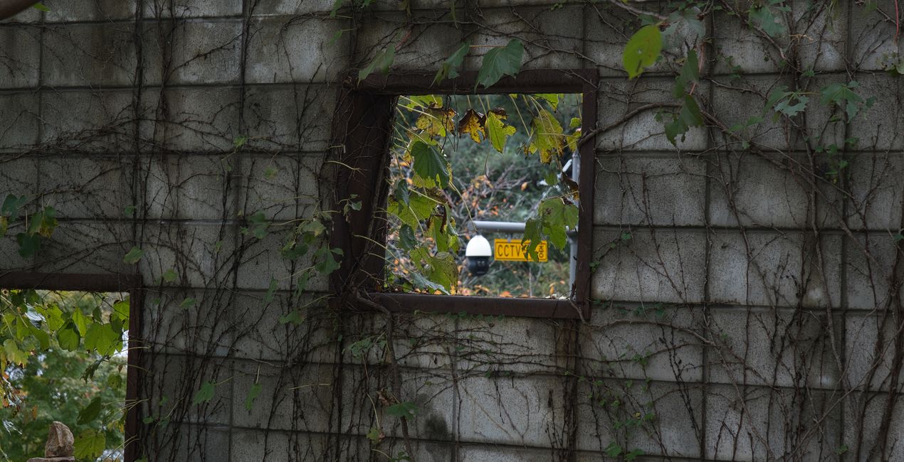 Autumn's Cusp Presets for Luminar | Marketplace (49)