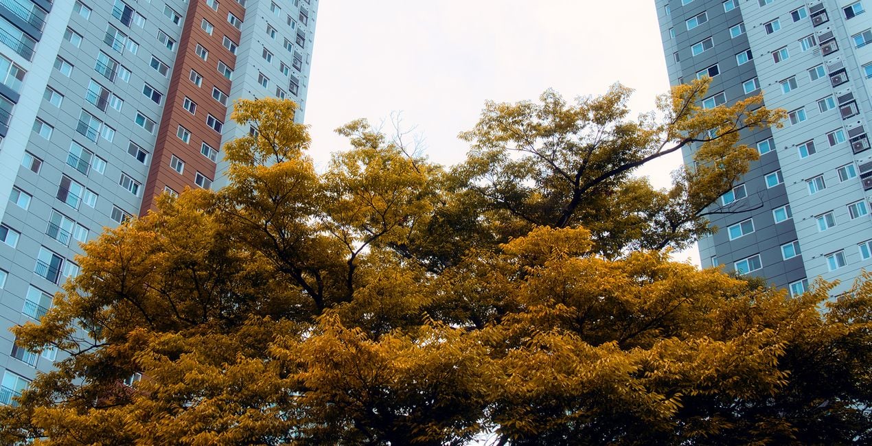 Autumn's Cusp Presets for Luminar | Marketplace (44)