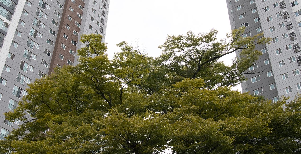 Autumn's Cusp Presets for Luminar | Marketplace (43)