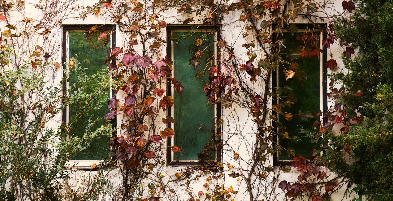 Autumn's Cusp Presets for Luminar | Marketplace (40)