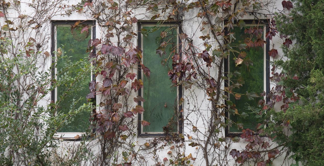 Autumn's Cusp Presets for Luminar | Marketplace (39)