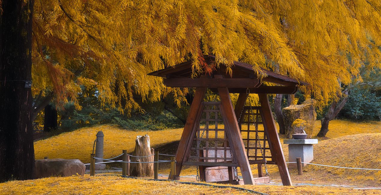 Autumn's Cusp Presets for Luminar | Marketplace (48)