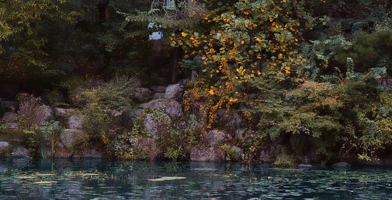 Autumn's Cusp Presets for Luminar | Marketplace (46)