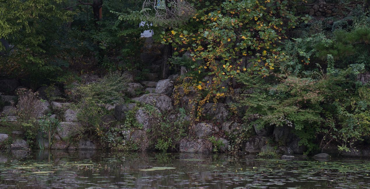 Autumn's Cusp Presets for Luminar | Marketplace (45)