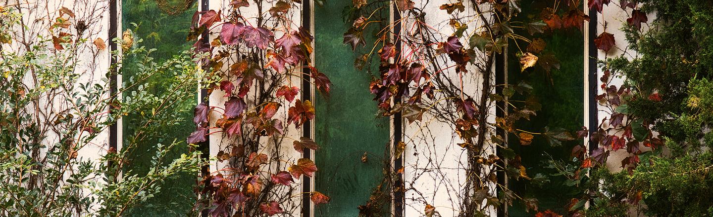 Autumn's Cusp — slide 3