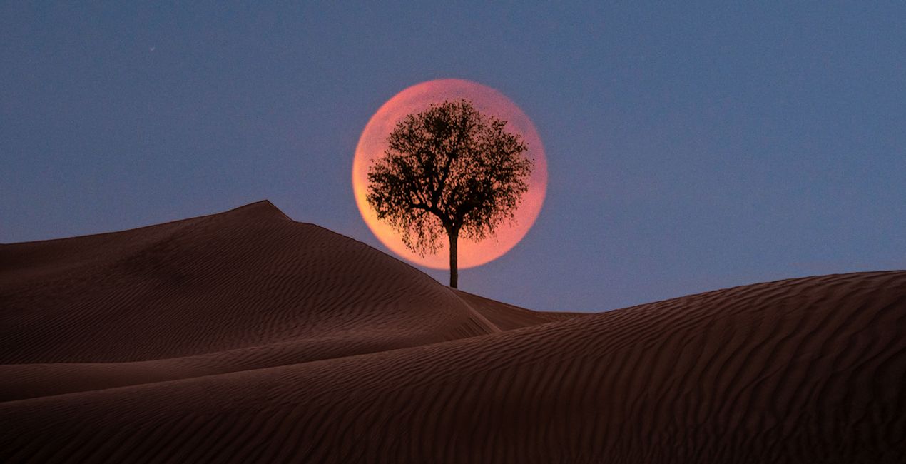 Moonkissed Skies (42)