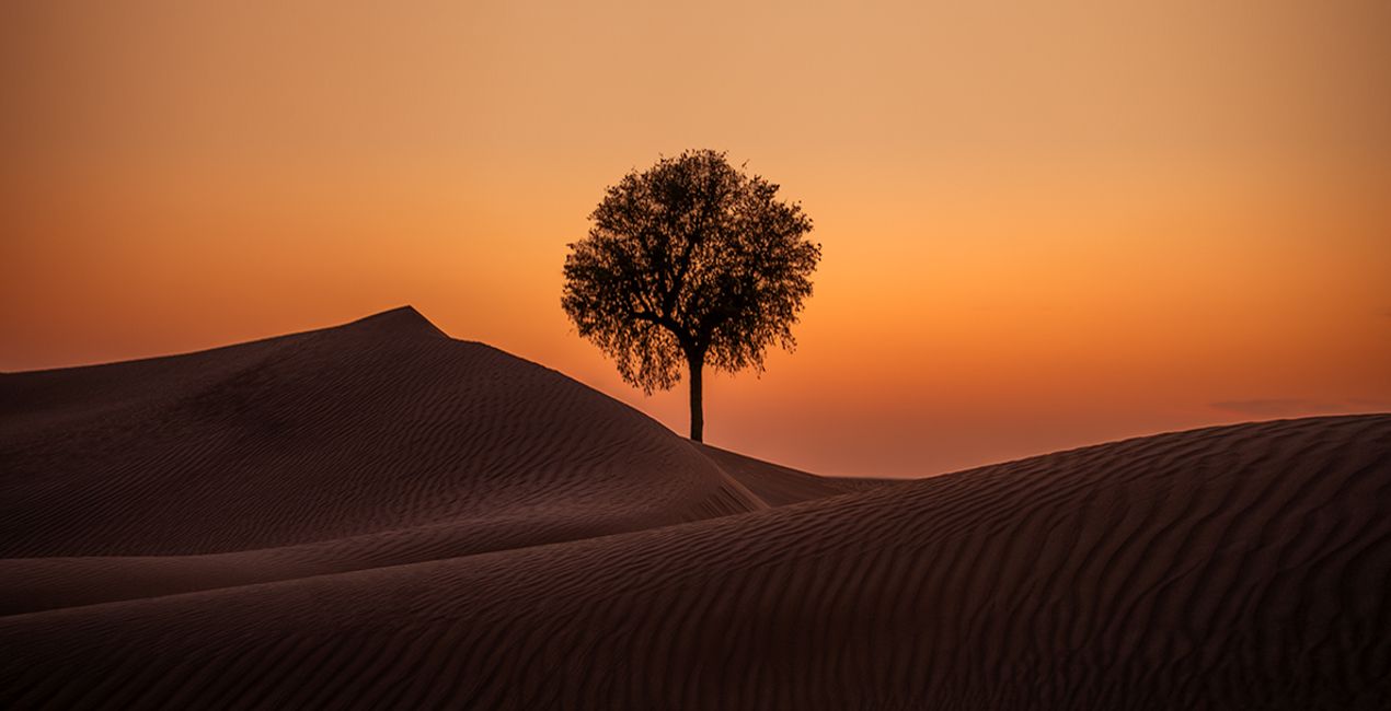 Moonkissed Skies (41)