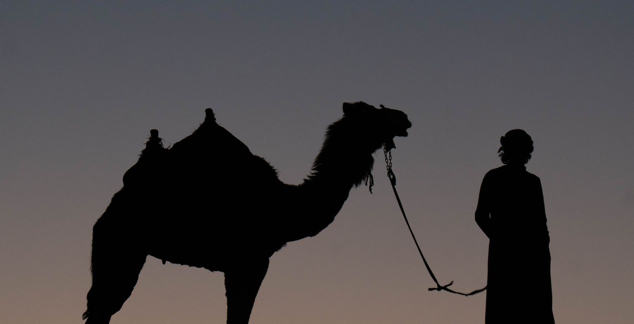 Moonkissed Skies (43)