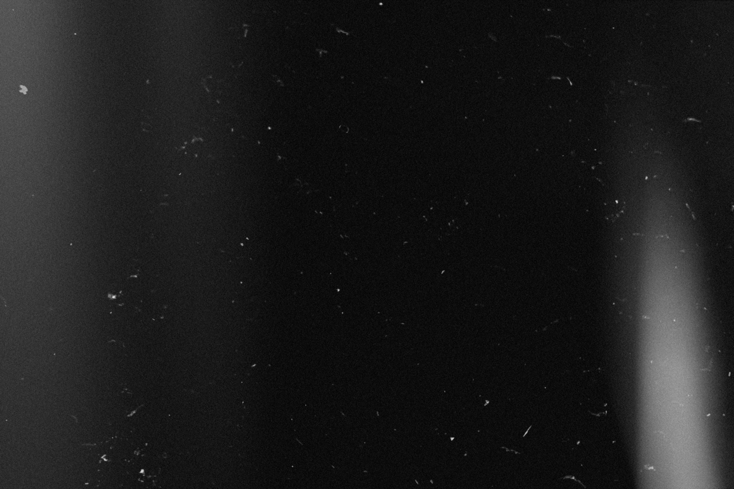 Dust & Scratches | Luminar Marketplace(55)