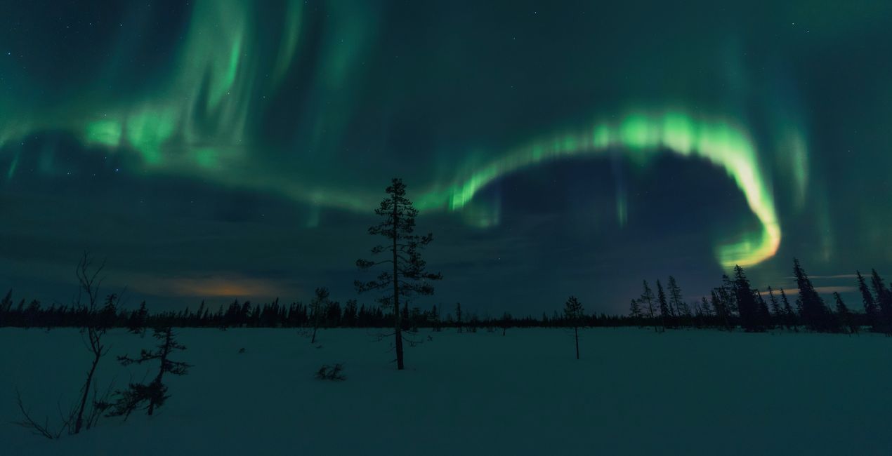 Luminar Nord Inc. 프리셋 | 마켓플레이스(48)