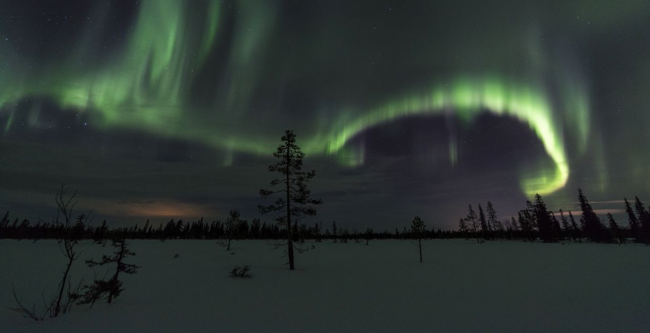 Luminar Nord Inc. 프리셋 | 마켓플레이스(47)