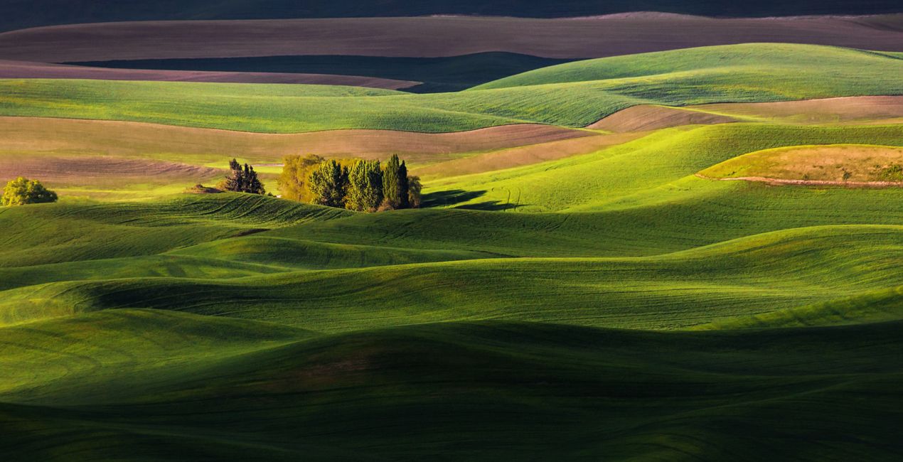 Preset Wanderfil per Luminar | Marketplace (40)