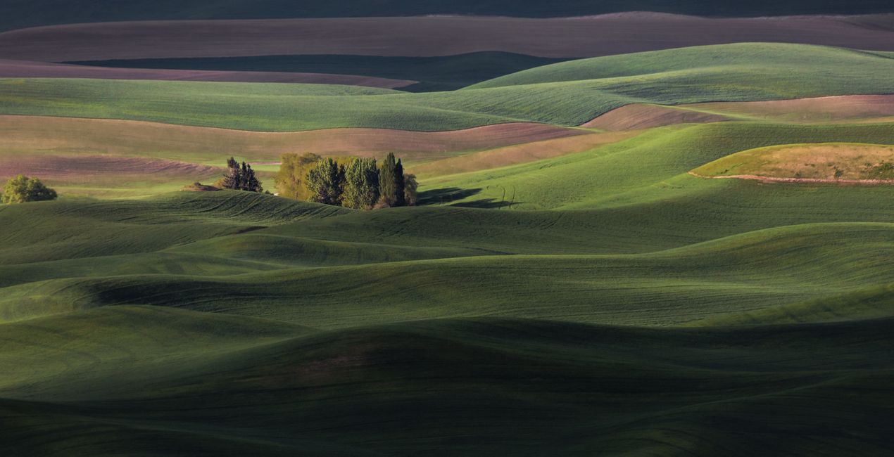 Preset Wanderfil per Luminar | Marketplace (39)