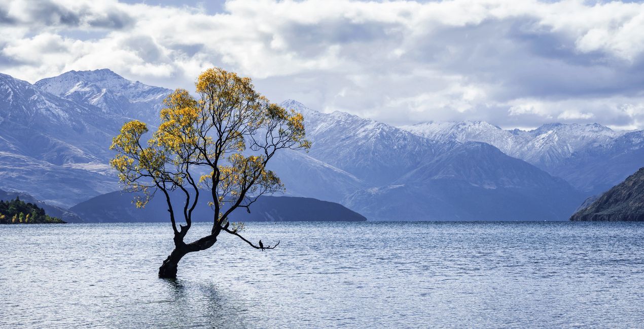 Preset Wanderfil per Luminar | Marketplace (44)