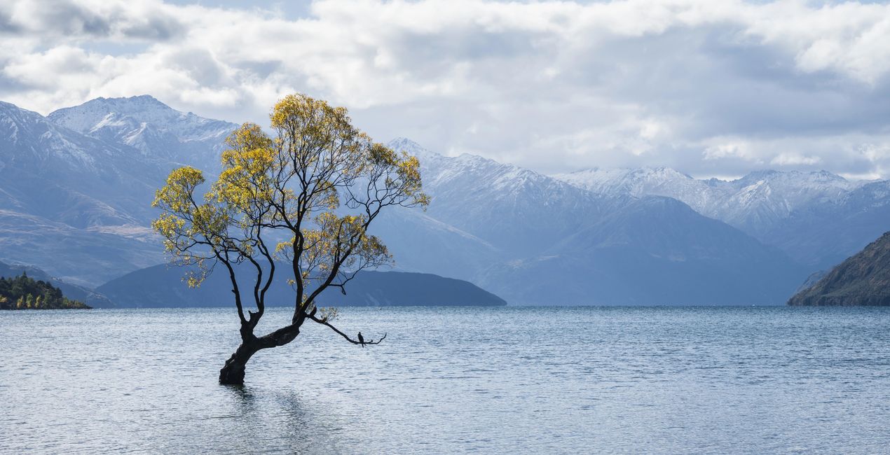 Preset Wanderfil per Luminar | Marketplace (43)