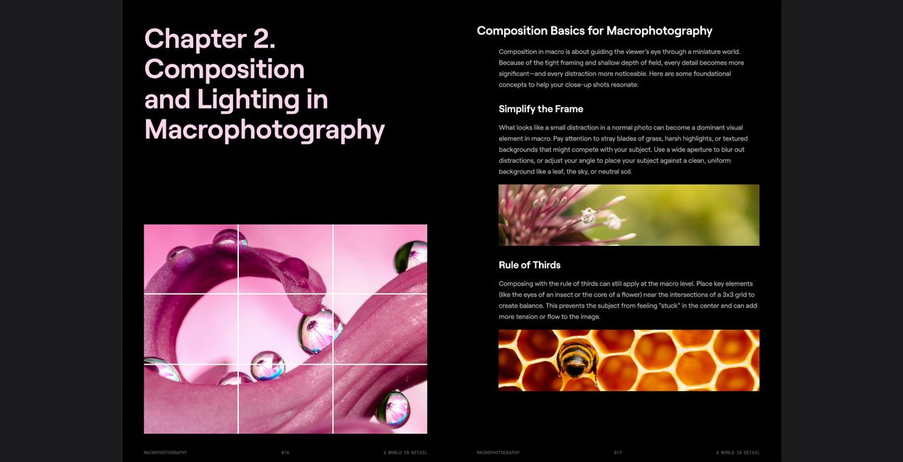 Makrofotografie: Eine Welt voller Details | Luminar Marktplatz(40)