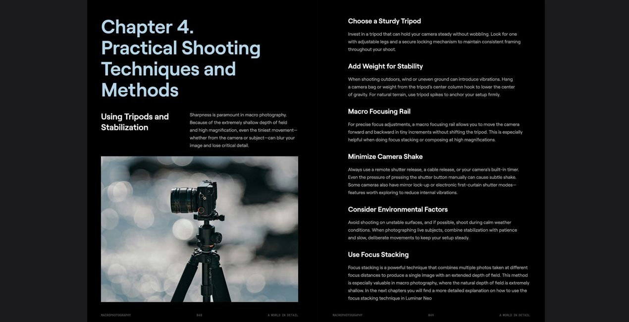 Makrofotografie: Eine Welt voller Details | Luminar Marktplatz(42)