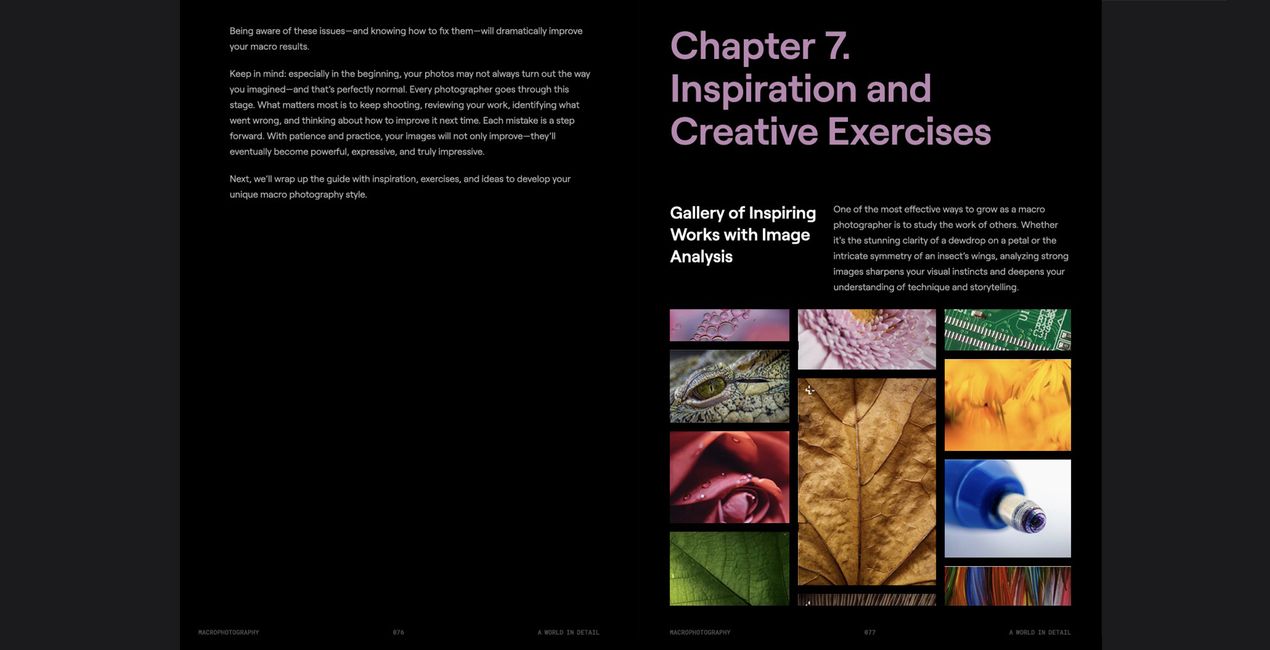 Makrofotografie: Eine Welt voller Details | Luminar Marktplatz(43)