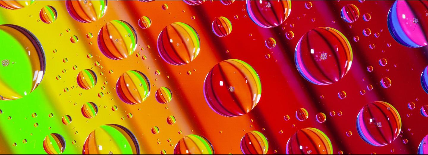 Macrophotography: A World in Detail — slide 3