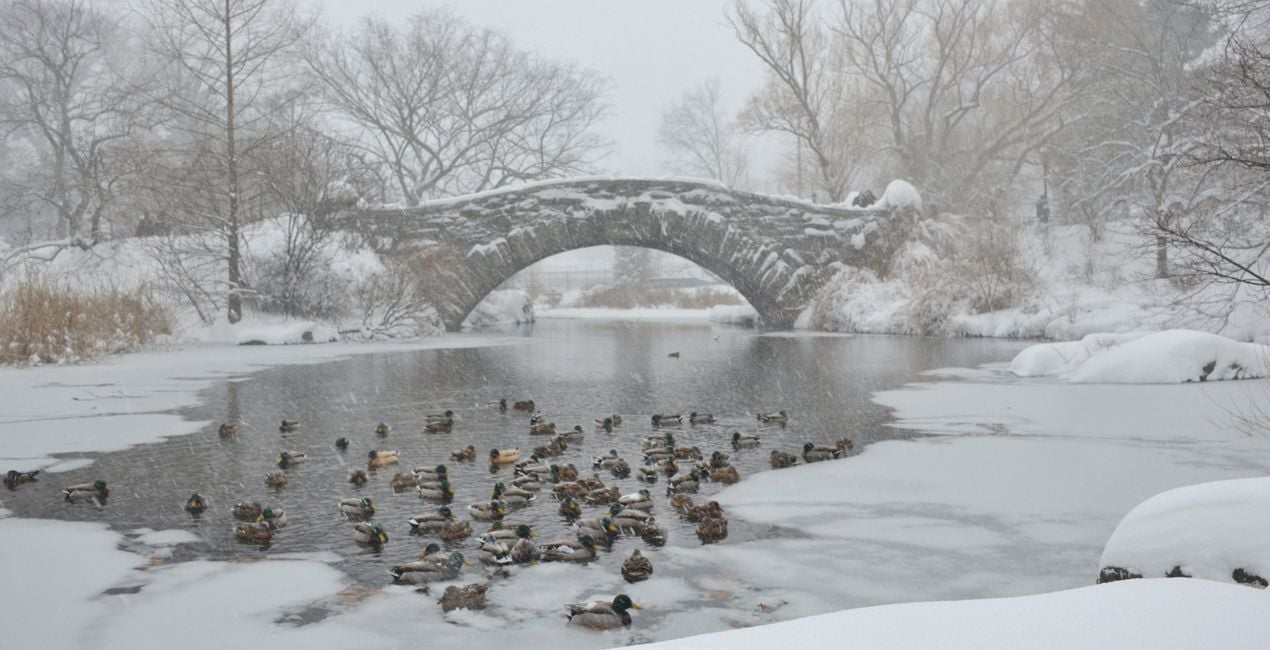 Frozen Streets Presets for Luminar | Marketplace(47)