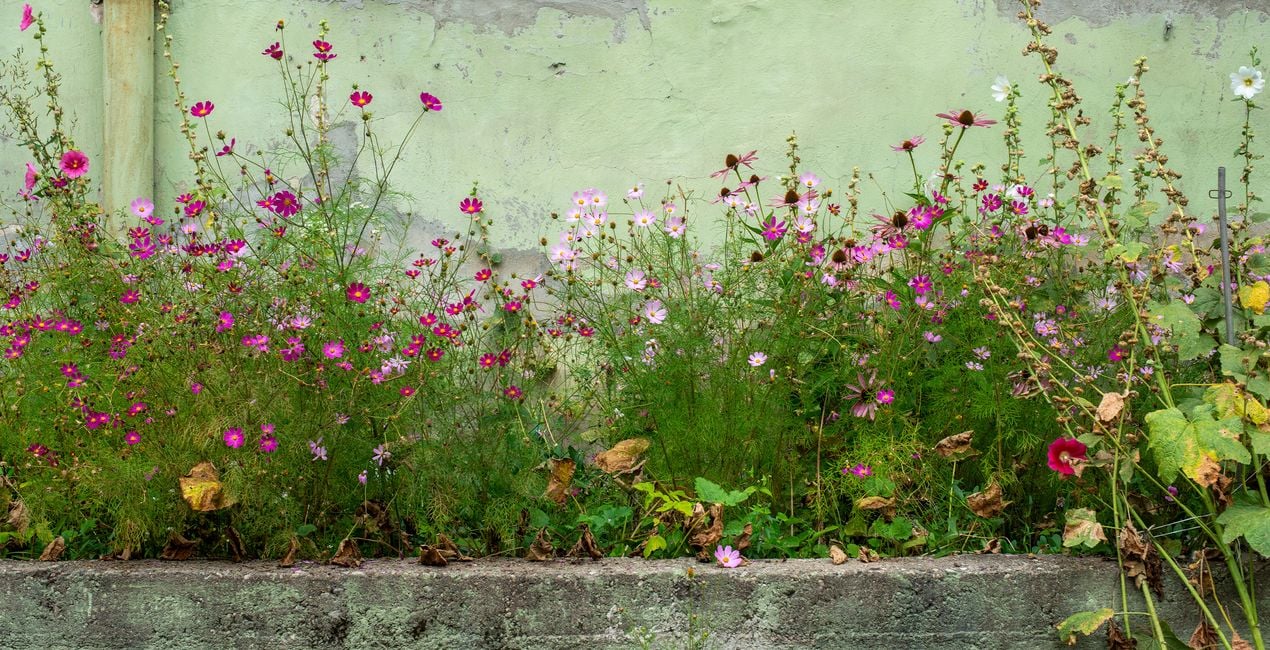 Gilded Copper Overlays for your photographs.(40)