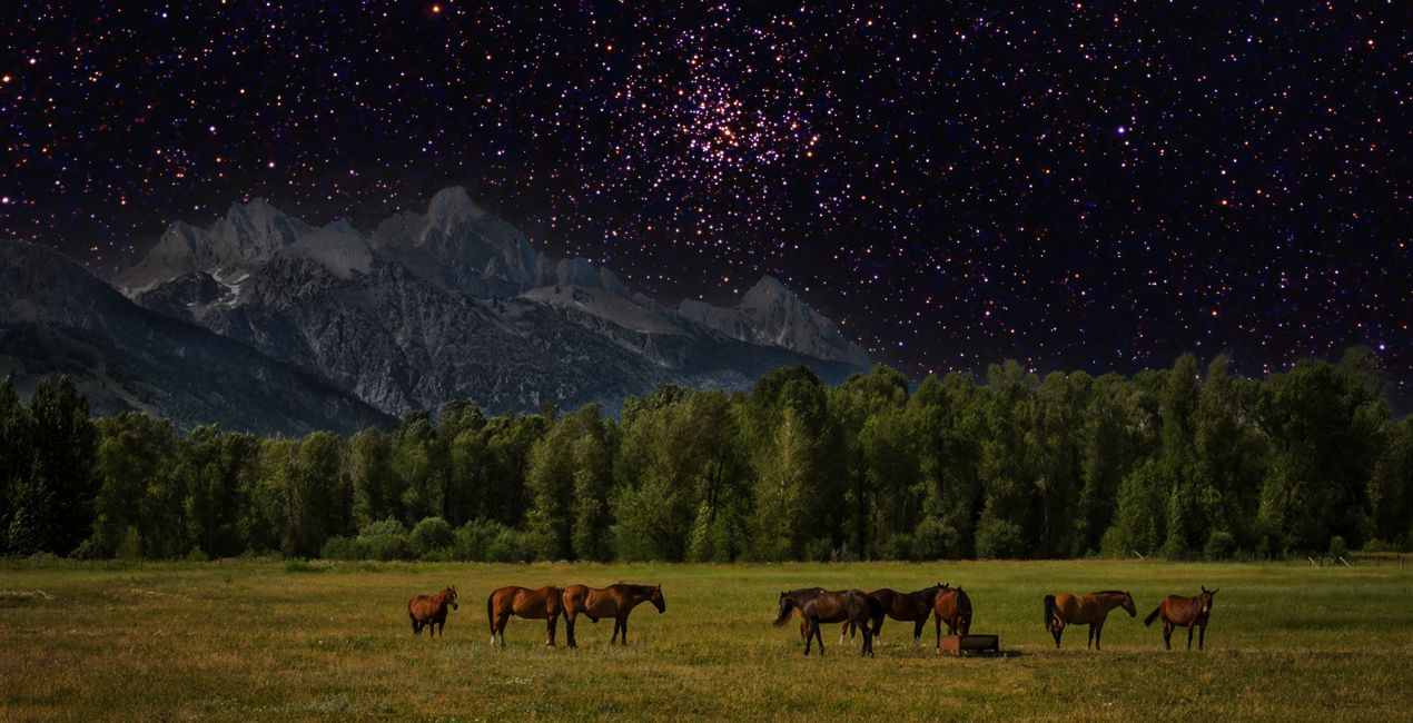 Mystic Galaxy Skies (48)