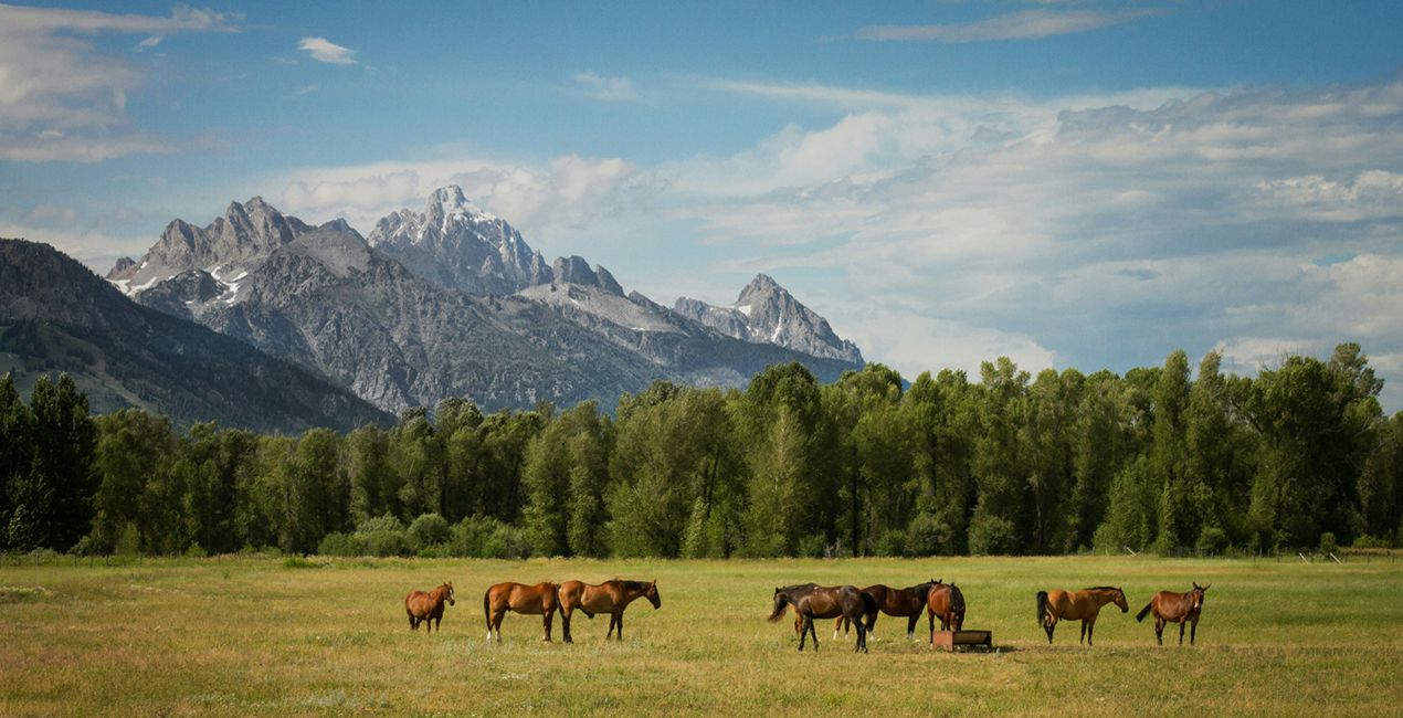 Mystic Galaxy Skies (47)